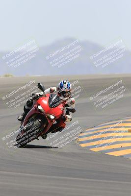 media/May-14-2023-SoCal Trackdays (Sun) [[024eb53b40]]/Turn 12 (1145am)/